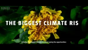 1302973112-8e4c14d5860222a5898f20770065eec7d72ba0b2ac4d58228_640