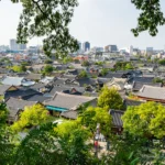 Tiled roofs of traditional Korean hanok houses fill Jeonju Village surrounded by leafy trees and modern city buildings.